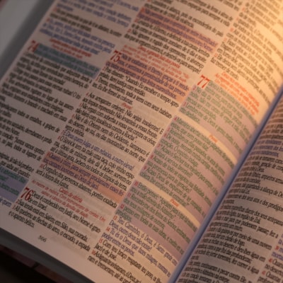 image_2c45f6da-ac92-4d5f-bf53-03bd850b95ba