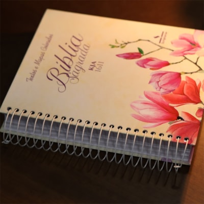 image_343d6f1e-6b8c-49c2-bd5f-5927ca06947e