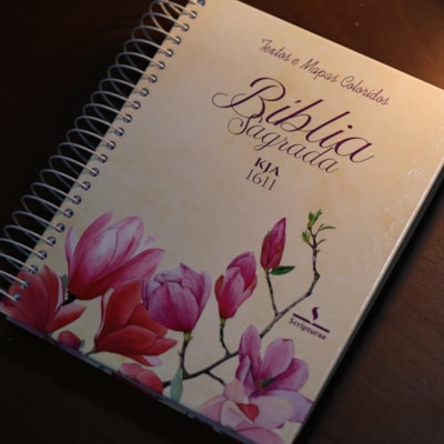 image_ae7d3944-6c53-4846-b909-4dac763830b1