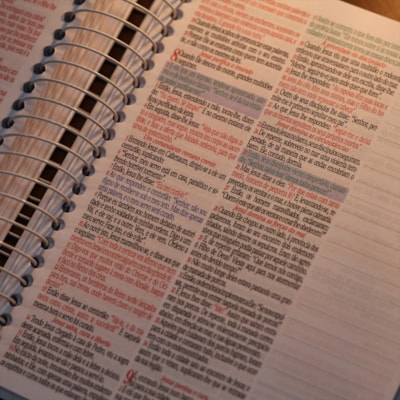 image_52e81766-c871-466f-b4dd-2a162a938d5d