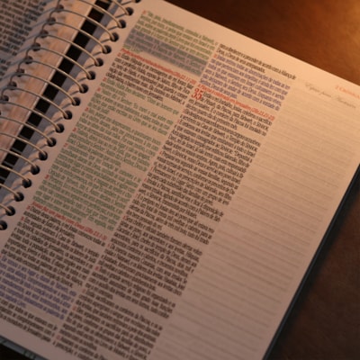 image_897364c3-6f45-4011-941c-e5be6dc34205