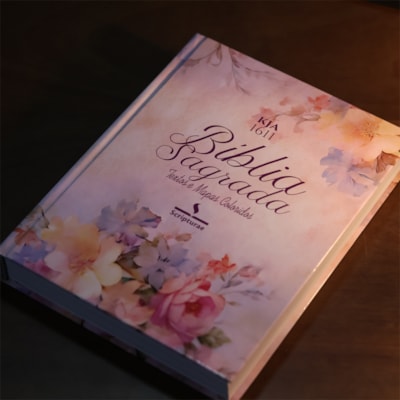 image_3a556278-e347-42ec-8144-4f252640edca