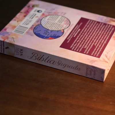 image_396fd906-223d-41d5-a5d7-cd69e6ad01e7