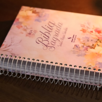 image_f38a0b4e-3ebf-49c1-850c-79db2f3ebbf1