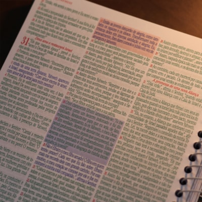 image_690bcf92-fd7e-4daf-b42b-1ebc0aa6c1a9