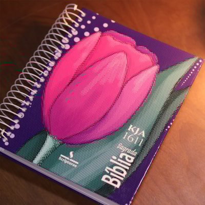 image_57149cb6-6272-470e-8f2e-80c90418f004