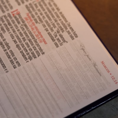 image_70425ee3-e881-4095-8e87-894f50cd148e