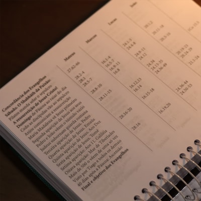 image_41f6ed1b-4a1e-4019-ab91-6e77b4a2f96d