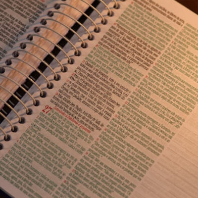 image_6c426827-cd43-4c0d-a33e-a2ae558ced39