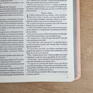 Bíblia King James 1611 Ultrafina Ampliada | Letra Normal | Capa Rose