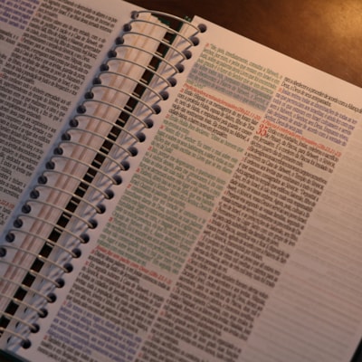 image_e2b4de76-e15e-4954-8978-96da951a0d0a