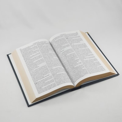 image_db331359-b25e-433c-9094-11c593d08dc8