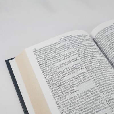 image_06d84e67-c42d-4a93-b3d0-90afca2732d6