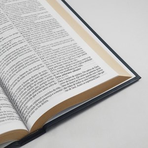 Bíblia King James Atualizada Flame Lion | KJA | Letra Gigante | Capa Dura