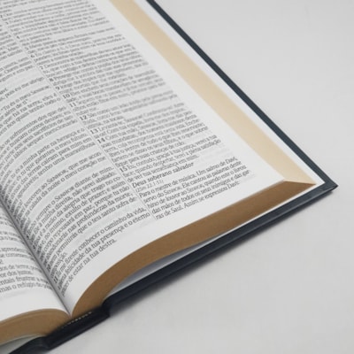 image_cd0bc958-2a53-41f5-bd40-2cb94329d792