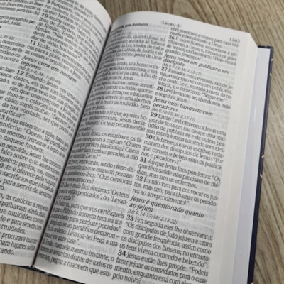 image_1fbaf137-4c20-4839-989f-31f9028078fa