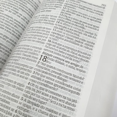 image_109bf725-9e26-47bd-b72c-7c2f2cccca4c