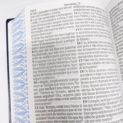 image_9a25135b-70ae-4d09-b619-5de13bc269cf