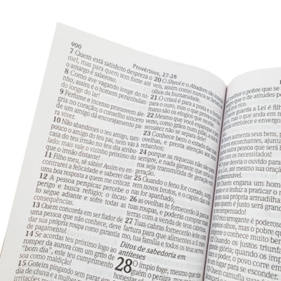 image_dfbb896c-91c7-4fff-9846-d1c3314415a1