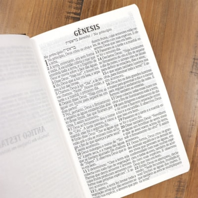 image_528bd57f-89ef-483d-8aee-721cd81fe084