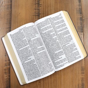 Bíblia King James Atualizada | KJA | Letra Hipergigante | Capa Dura Vintage