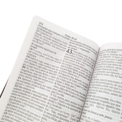 image_c215ceee-d563-417d-90fd-27c2347567d1