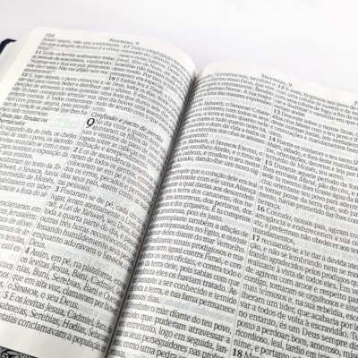 image_013d4f99-0d9b-420a-84bf-dc8621ec4401