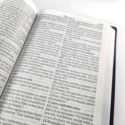 image_bfd76b16-ac8c-40e9-b572-0c9104ed6a7e