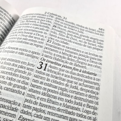 image_321e0438-b69e-4698-b779-8de1c746271d