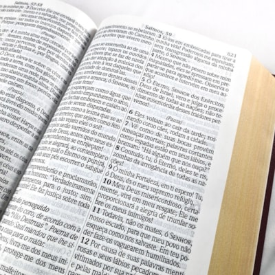 image_c81673ca-d70e-44ce-9d95-81eda3801795