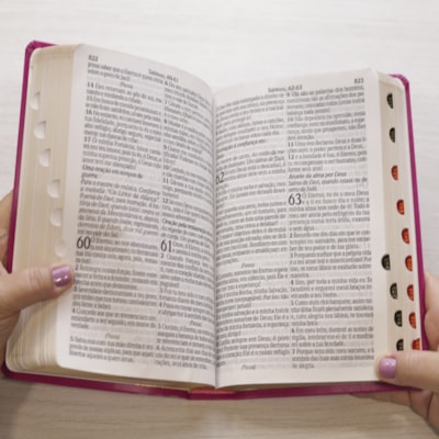 image_2685441c-4af6-4fb6-807c-45939fd0d6fb