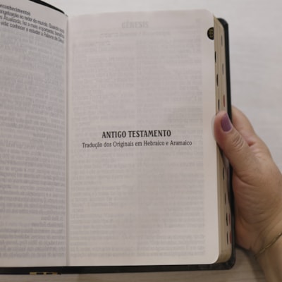 image_24b7b2ab-74bd-424b-8cfc-2a937bb3046c