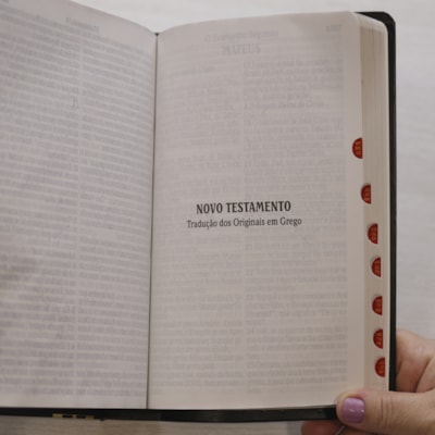 image_55cfa20e-1bdd-4141-a1c6-3a1090be9757