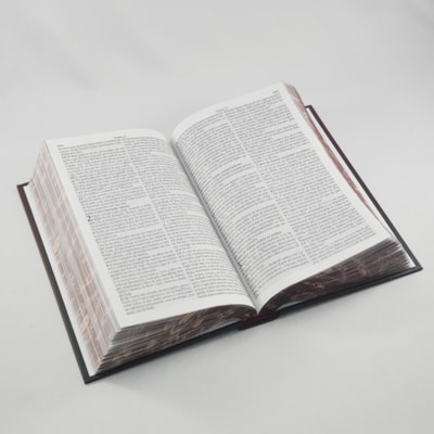 image_9090e27e-6d39-4287-b157-6e3a50f8f4ec