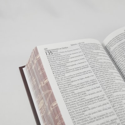 image_faf94e7b-9b9e-4d0a-9da5-f0148034a3be