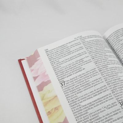 image_3e0170d9-e217-4b59-a0f9-587cb7bc12b1