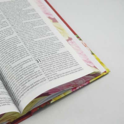 image_d148319f-b350-4589-85db-9ea579f85d3f