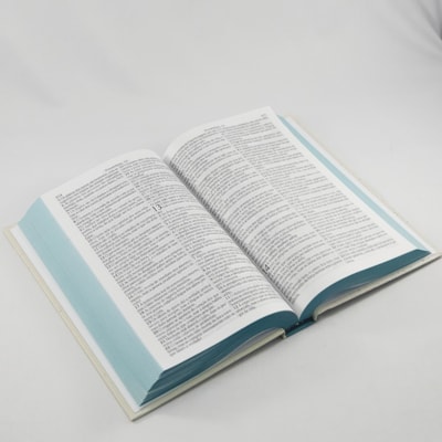 image_bc46c095-906f-4eeb-9559-28b50ca7b591