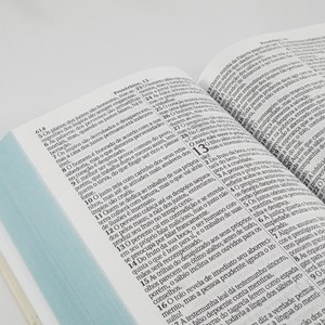 Bíblia King James Atualizada Retro | KJA | Letra Gigante | Capa Dura