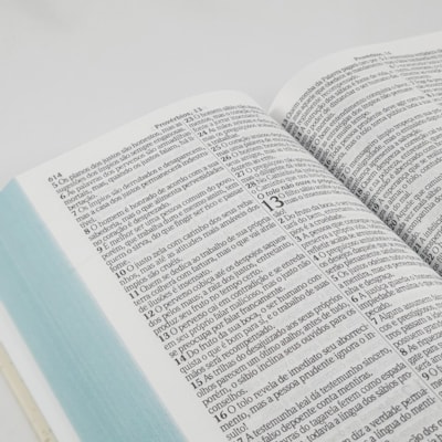 image_8be510b9-f936-4520-a710-ea78a2bf7640