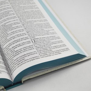 Bíblia King James Atualizada Retro | KJA | Letra Gigante | Capa Dura
