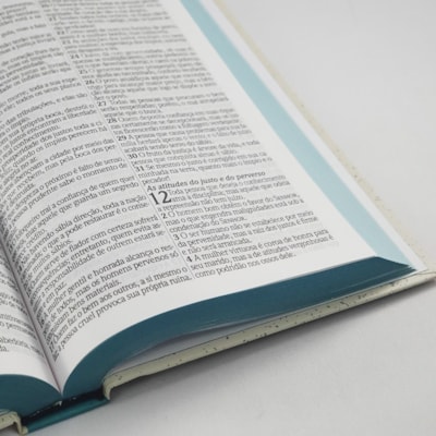 image_8a3c8515-4b32-45ff-8426-b62aa5ee9ae2