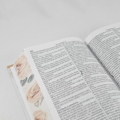 image_89fe339a-09d5-41a7-8384-843ac3a263c3