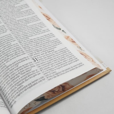 image_05903422-2322-4855-bd74-68e15c9f9dc3