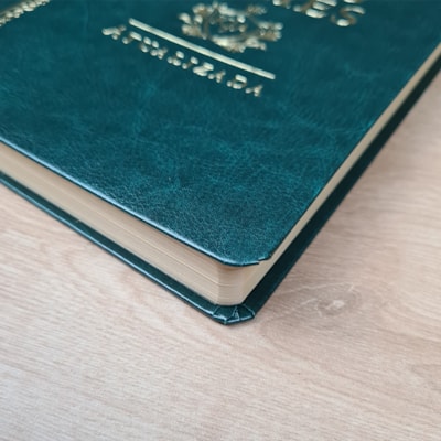 image_233081d8-f65a-4378-a283-ce4b4821d8ff