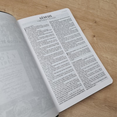 image_bcc1f8ab-e49f-4d50-b106-bce8f4d6ba3c