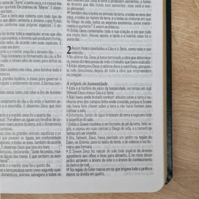 image_a5d8302d-9fe1-46ad-b9d5-fa8bae9c7739