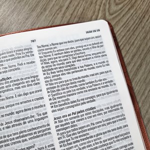 Bíblia King James Atualizada Slim | KJA | Letra Normal | Capa Luxo Bronze