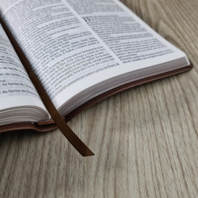 image_af13c61d-bbc8-42b0-b639-5350045a47a2