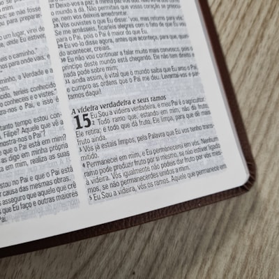 image_5063ca1f-166b-4dc8-b651-61ba3cbacf3e